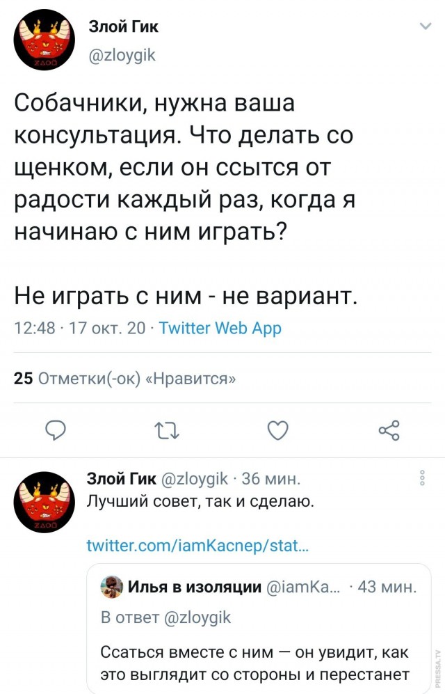 Бредзона 23.10.2020