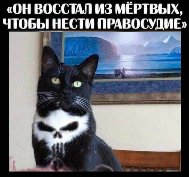 Картинок вам на утро