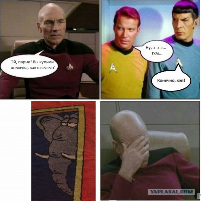 А вы любите Кафку?