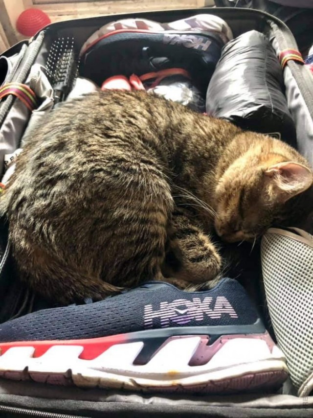 Картинки и мемы для настроения