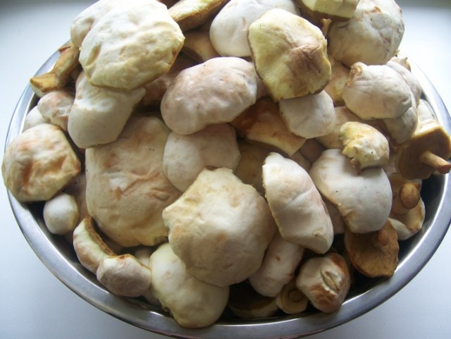 Кулинарная беседка