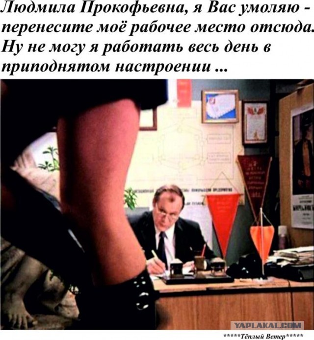 Дамы и дамочки