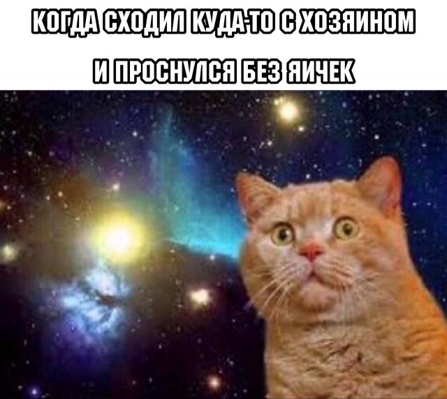 Картинки аморальные и всякие разные - 19