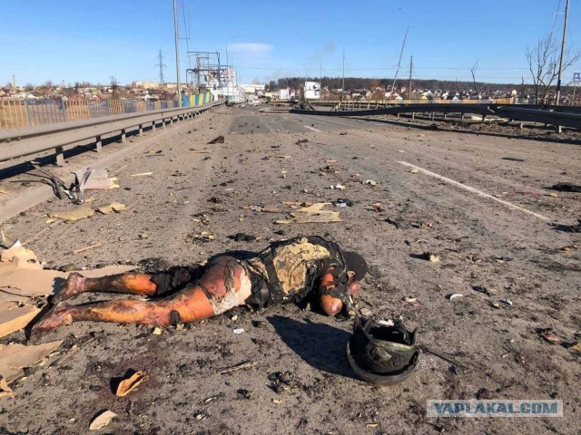 ФРГ попросила Польшу остановить отправку поездов с украинскими беженцами