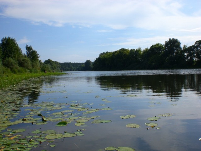 Сплав по Десне, сентябрь 2011