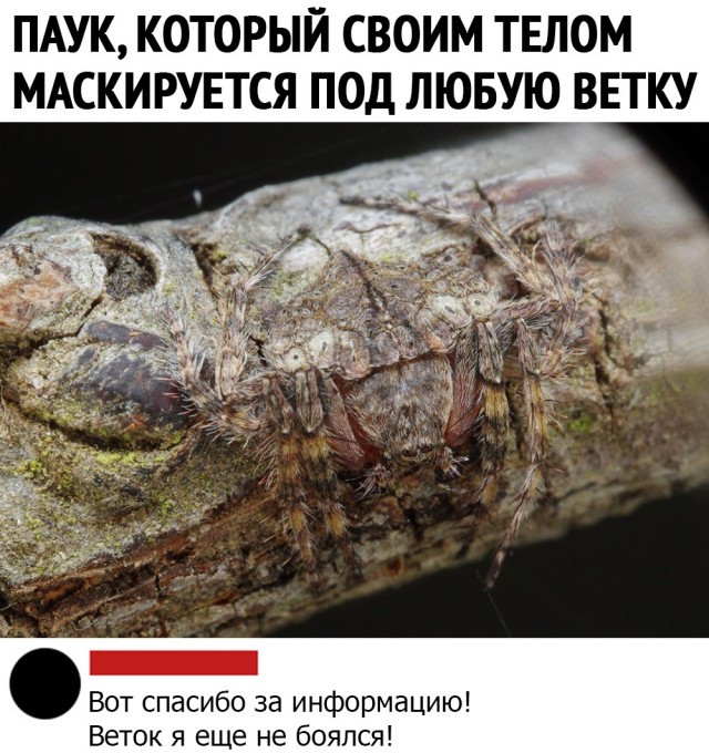 Так себе картинки 21.05.22