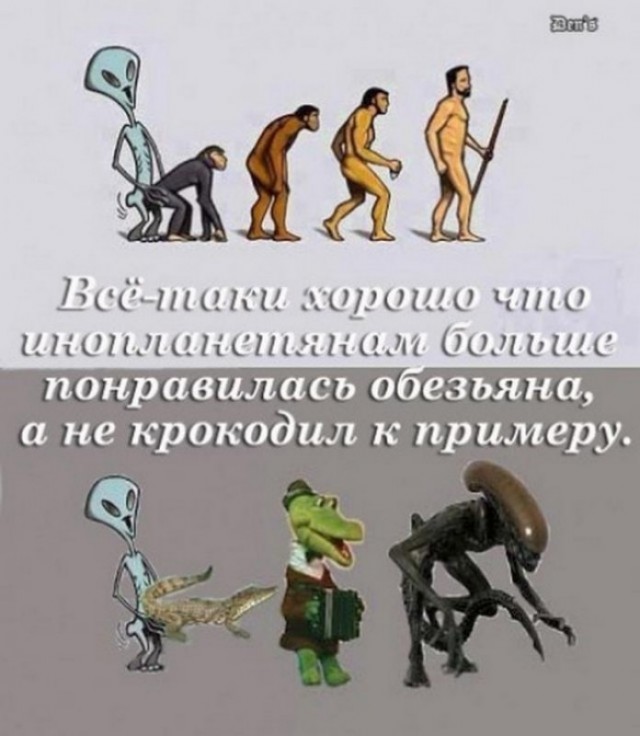 Как думаете, а откуда взялся человек на земле?