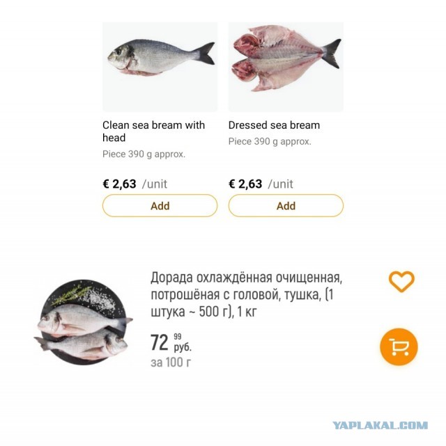 Пандемия съехавших крыш - разновидности болезни. Россия и мир. Часть 40.