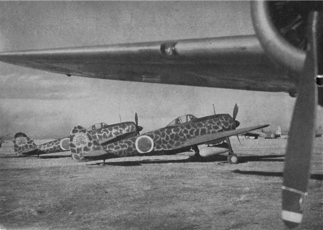 Ki-43 Hayabusa (式戦闘機 隼 ). Сокол-самурай