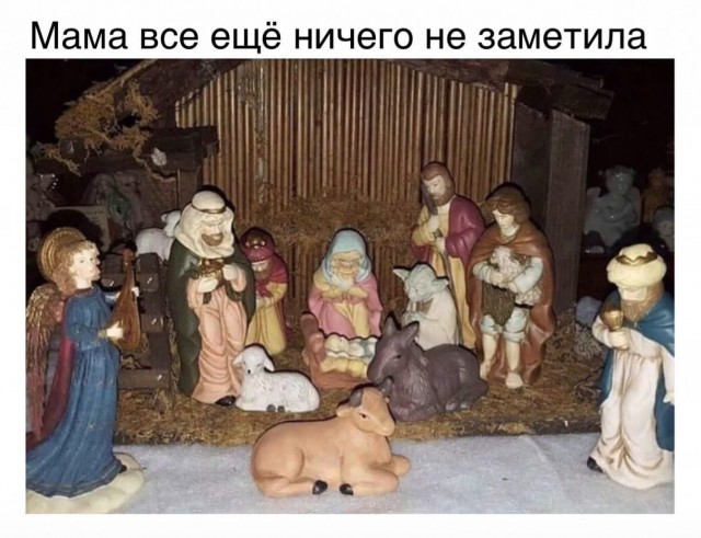 Так себе картинки 25.01.2023