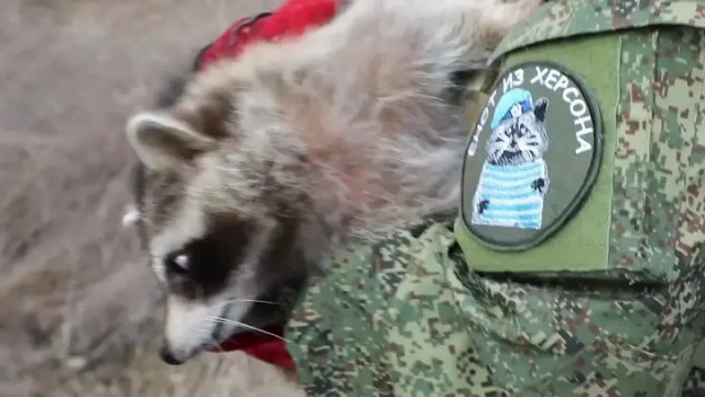 Российские власти готовятся к набору 400 тысяч контрактников