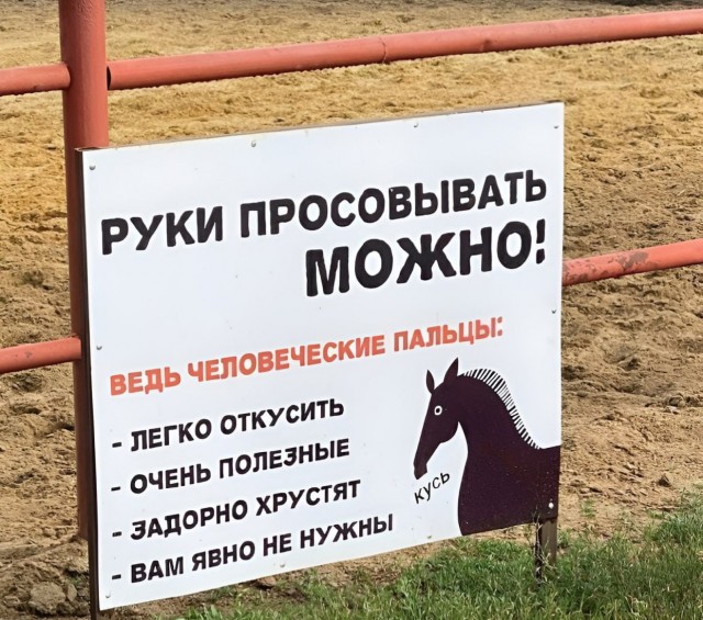 Так себе картинки 20.04.23
