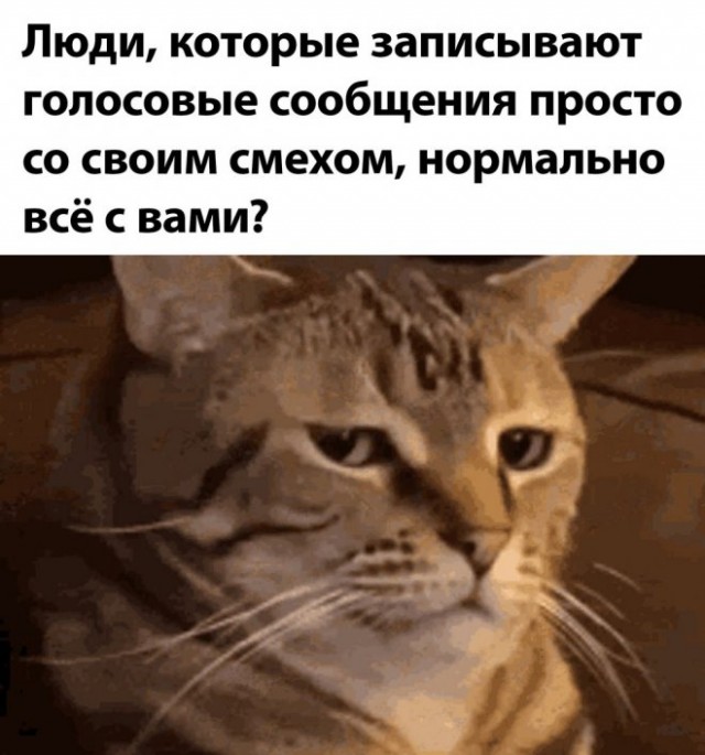 Картинки и мемы для настроения - 181