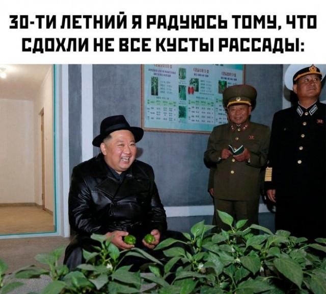 Картинки и мемы, всяко разно - 183