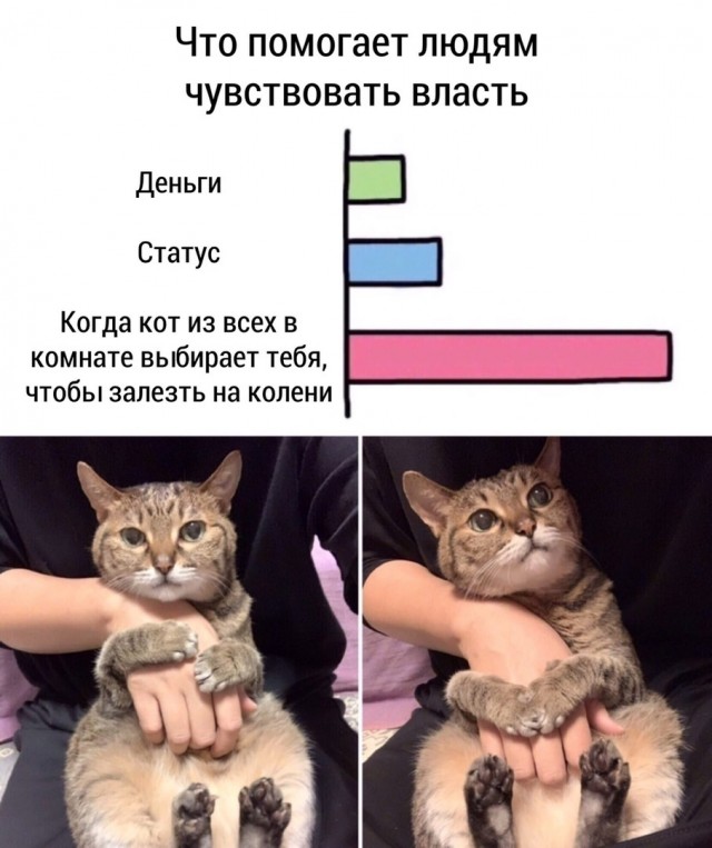Забавные комментарии из социальных сетей (31.07.23)
