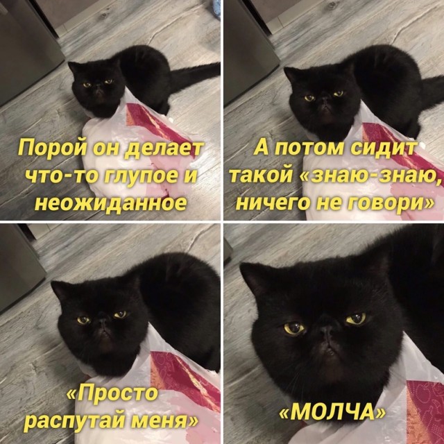 Весёлый полтишок 07.08.23