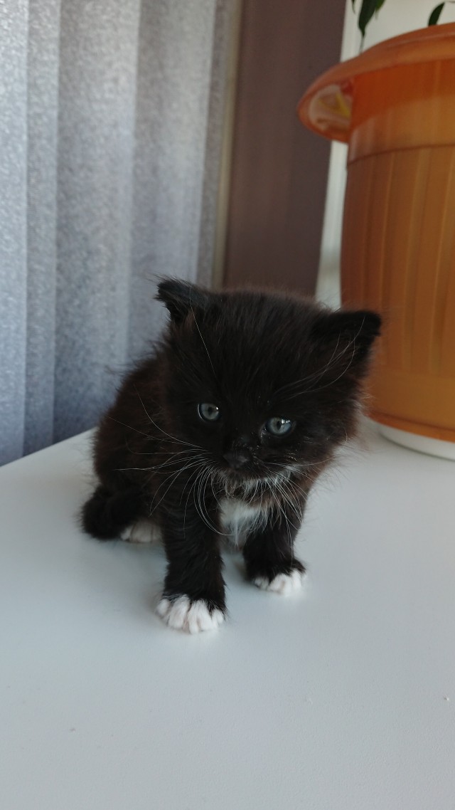 Вот и я - раб