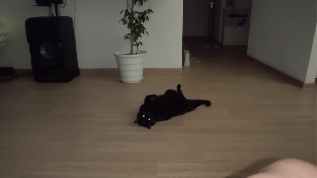 Котэ и молния