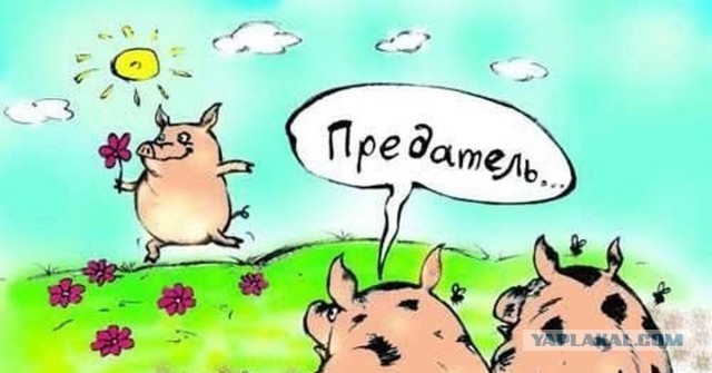 Дочь Владимира Машкова стала гражданкой США и отказалась от отчества