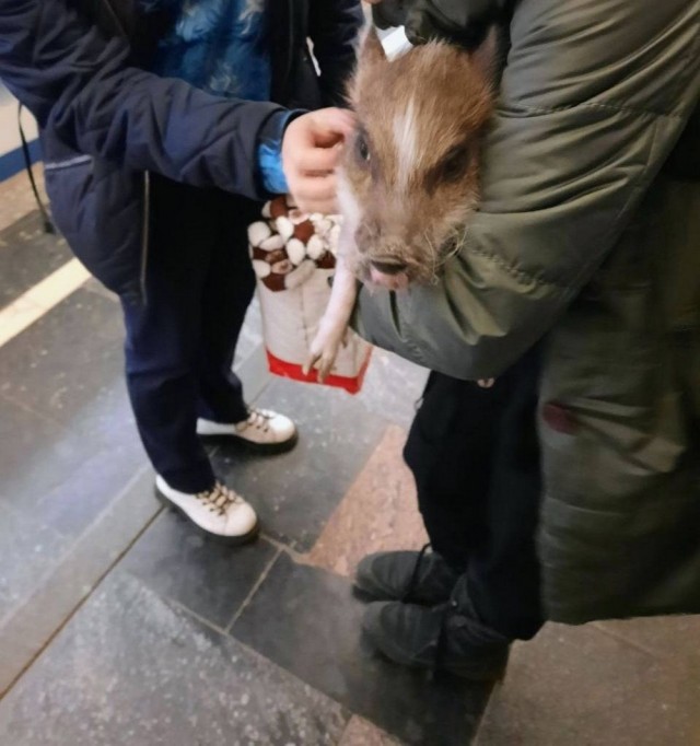 Модники из российского метрополитена