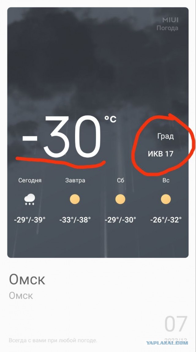 Утренний сюрприз