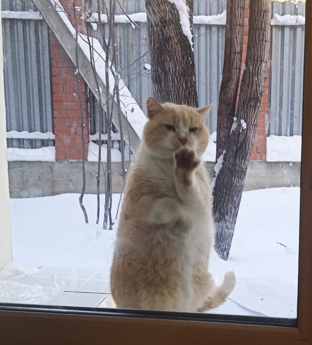Минус 32