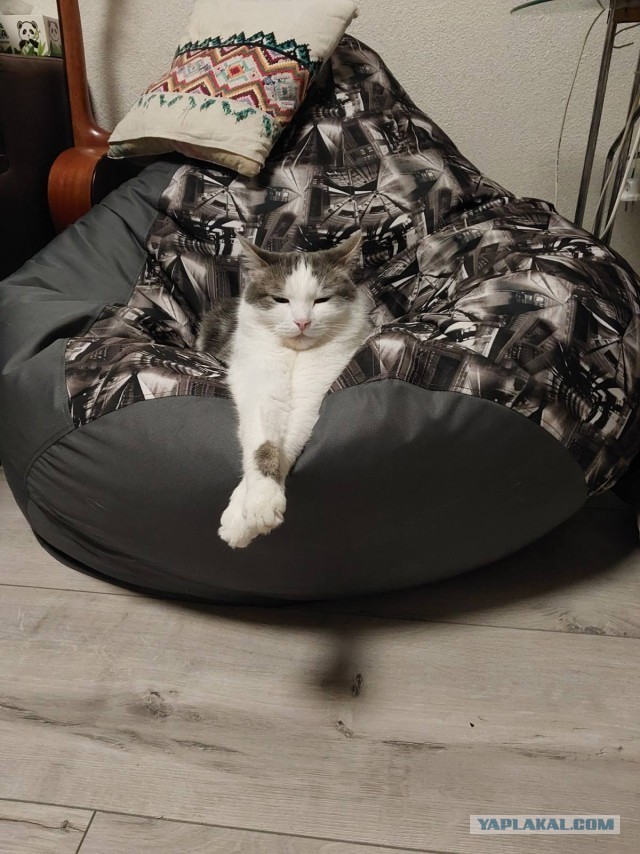 На святое покусилась⁠⁠