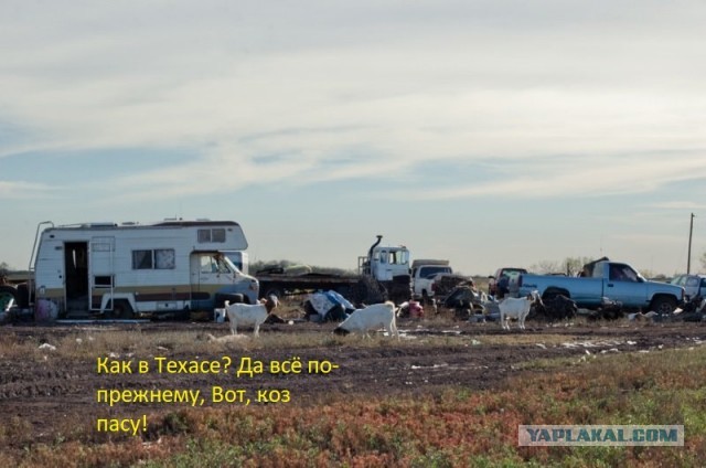 В свете последних событий