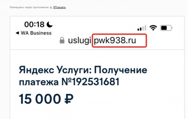 Развели, так развели. Выложила все, даже CVV