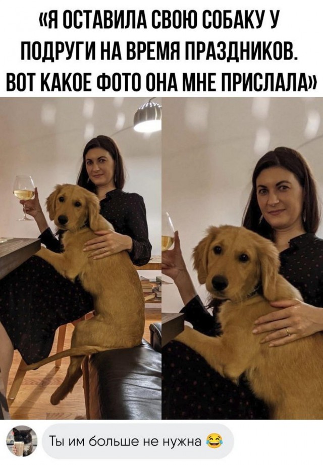 Всего понемногу. От 21.06.2024