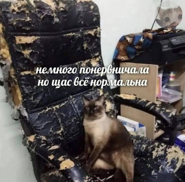 Завалялось тут случайно немного забавных картинок