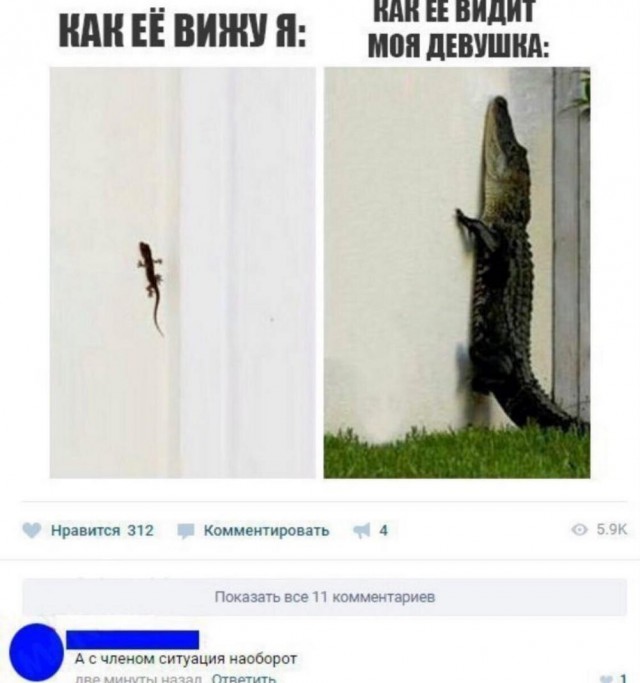 Веселые картинки к четвергу (03.10)