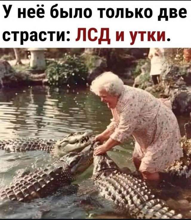 Нуштош 04.10.2024