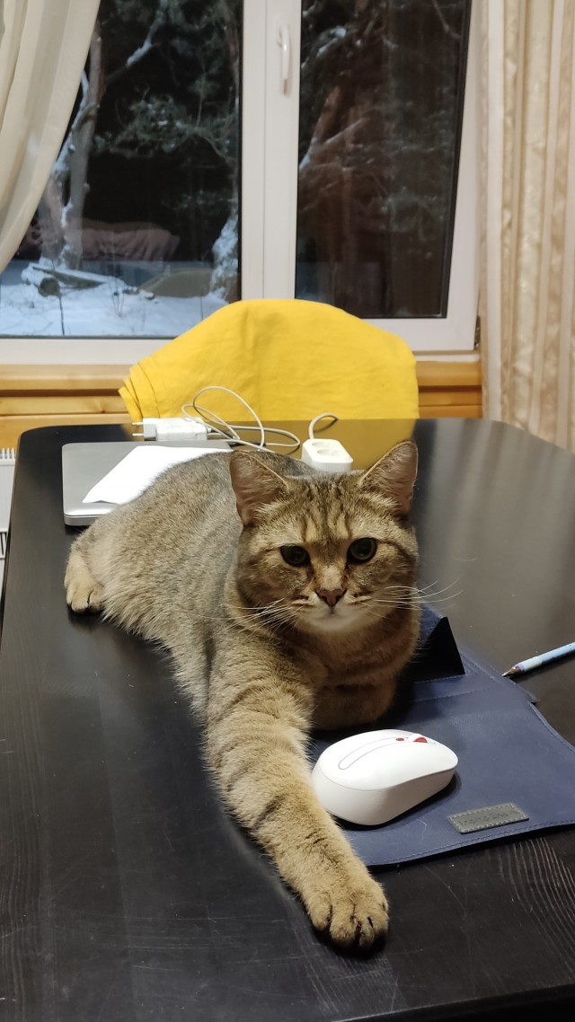 Взросление Атамана