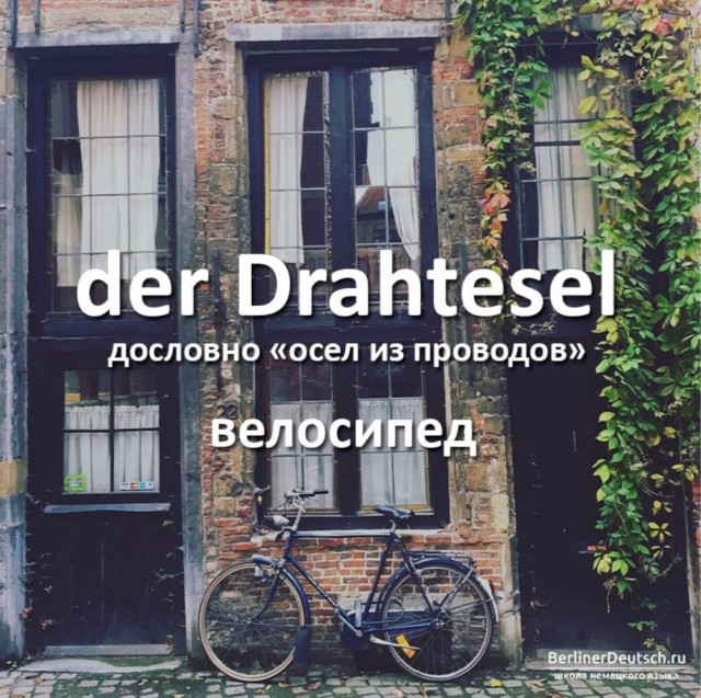 В немецком языке есть слово «Drachenfutter», которое означает «корм для дракона»