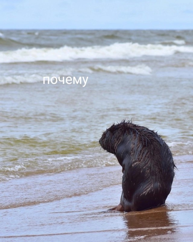 Нуштош 28.02.2025. Затерявшиеся мгновения (s3e8)