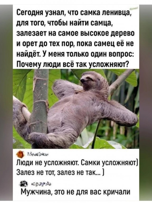 Так себе картинки 22.03.25