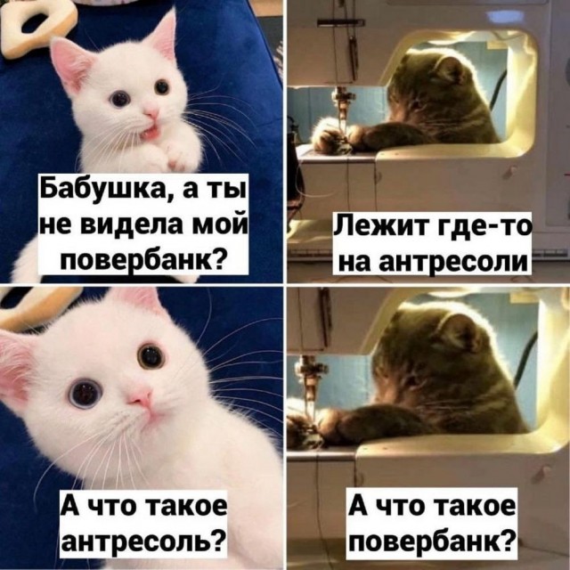 Веселые картинки в пятницу (04.04)