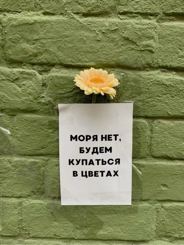 Прикольные и просто красивые картинки
