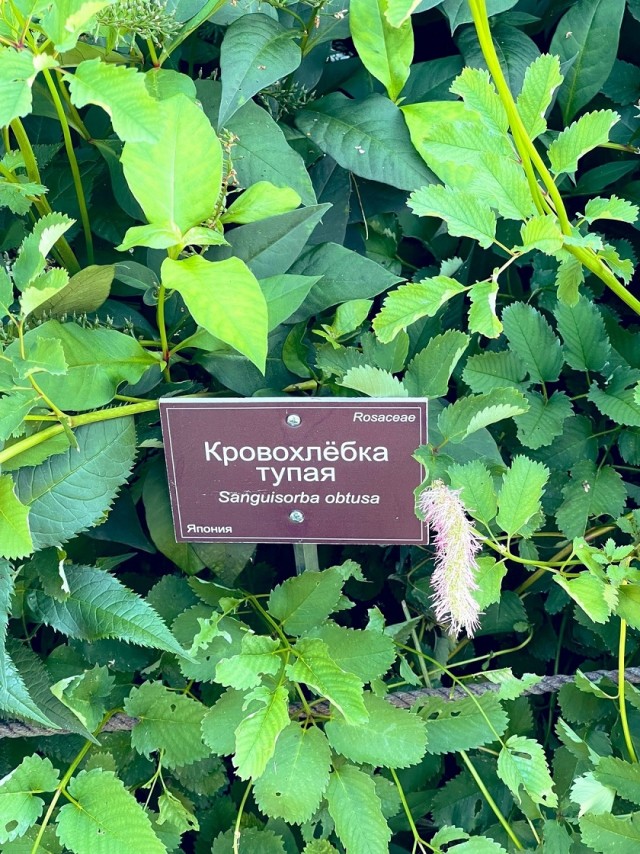 Так себе картинки 01.08.25
