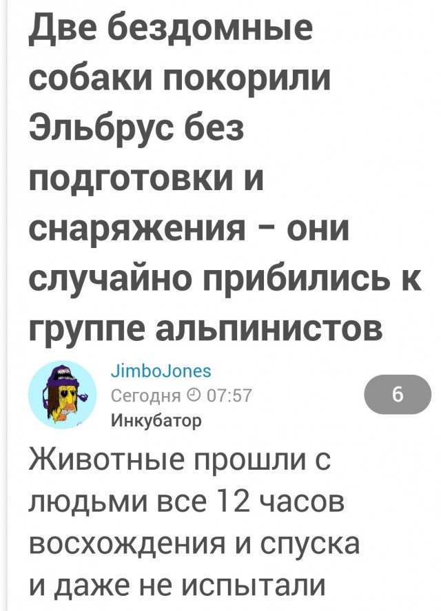 Ещё один скалалазик.