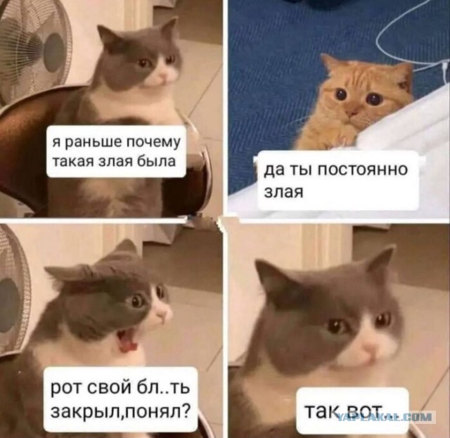 Веселые картинки в пятницу (12.09)
