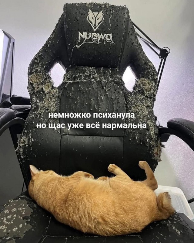 Веселое настроение в картинках (05.10.2025)