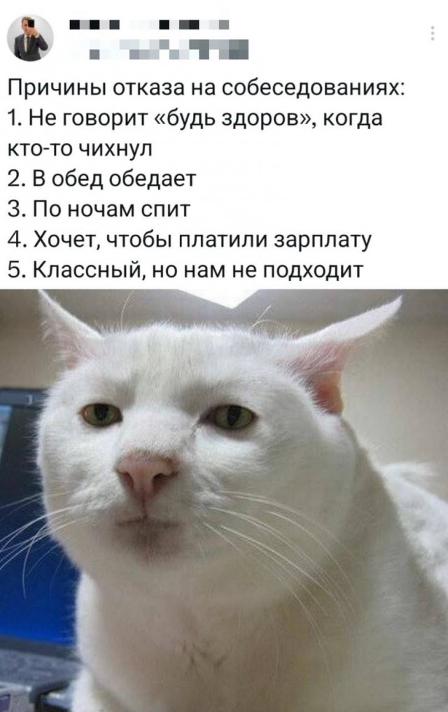Картинки для деградации 72 (разной степени свежести)