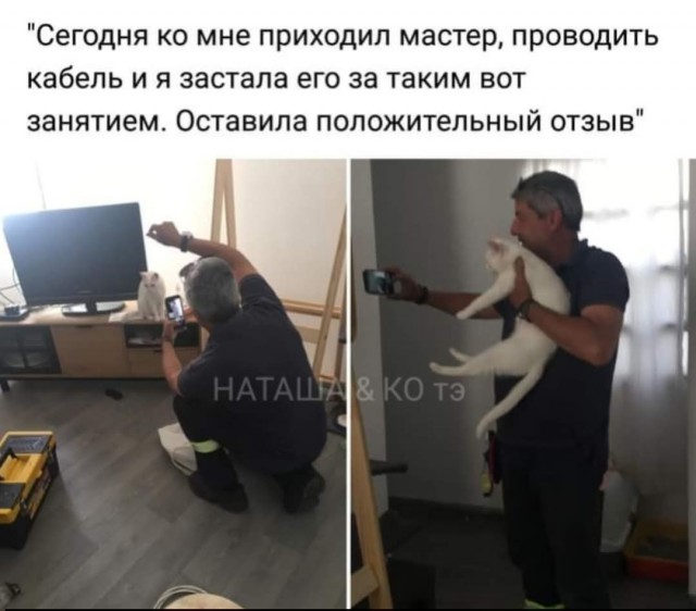 Дегрономикон 8