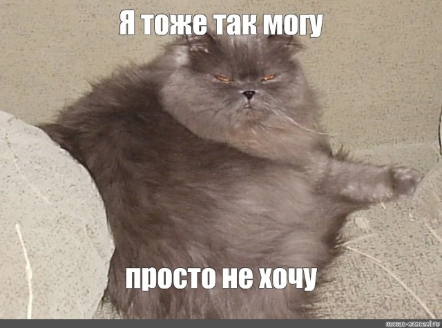 Я тоже так могу