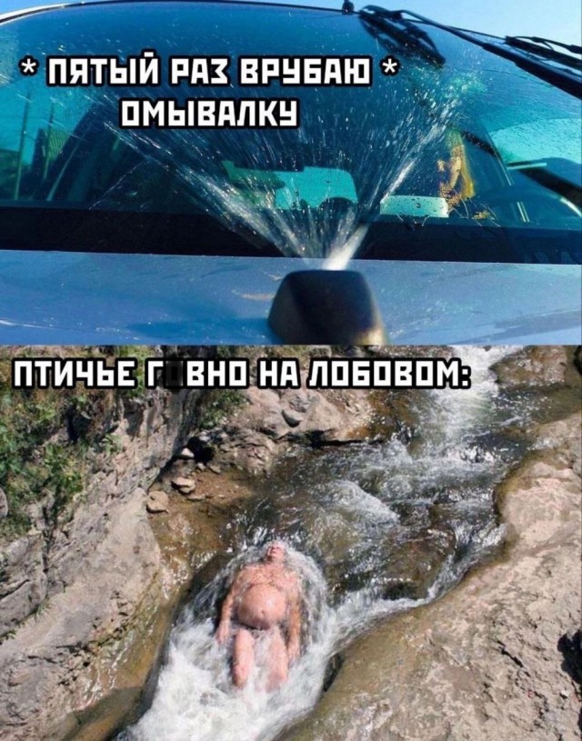 Мои избранные картинки часть 6