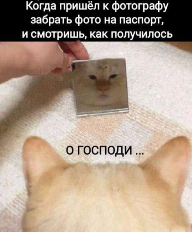 Картинки для деградации 130 (разной степени свежести)
