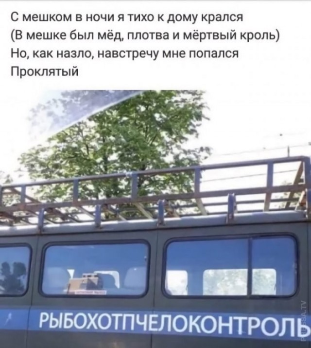 Веселые картинки в пятницу (10.04)