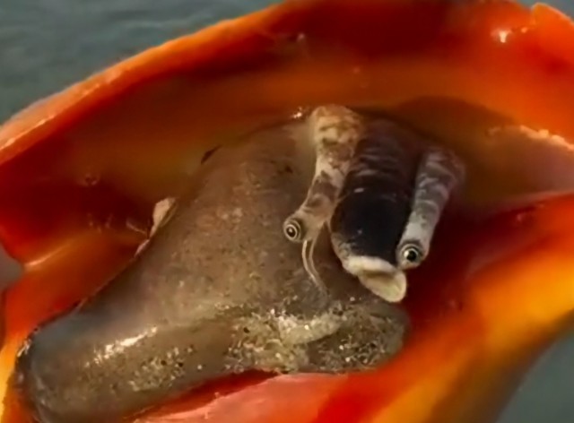 Отъ*бись!